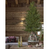 Pinheiro decorativo com movimento e Led